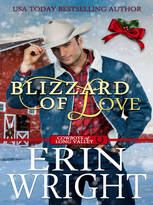 Title details for Blizzard of Love by Erin Wright - Available